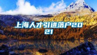 上海人才引进落户2021