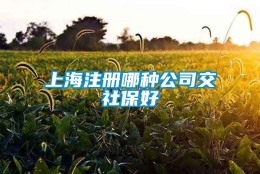 上海注册哪种公司交社保好