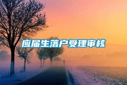 应届生落户受理审核