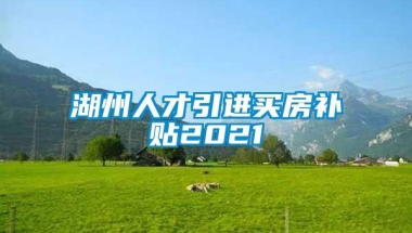 湖州人才引进买房补贴2021