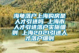 海龟落户上海购房是人才引进吗 上海市人才引进落户实施细则 上海2021引进人才落户细则