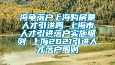 海龟落户上海购房是人才引进吗 上海市人才引进落户实施细则 上海2021引进人才落户细则