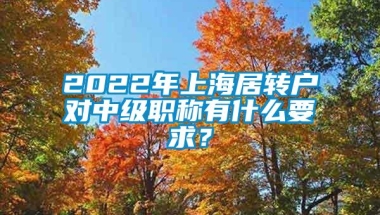 2022年上海居转户对中级职称有什么要求？