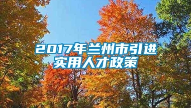 2017年兰州市引进实用人才政策