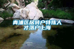 青浦区居转户特殊人才落户上海