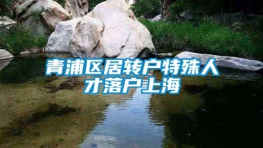 青浦区居转户特殊人才落户上海