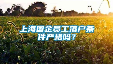 上海国企员工落户条件严格吗？