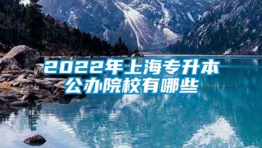 2022年上海专升本公办院校有哪些