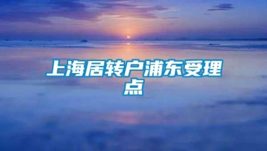 上海居转户浦东受理点