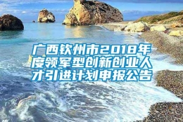 广西钦州市2018年度领军型创新创业人才引进计划申报公告