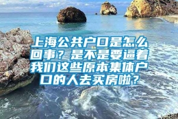 上海公共户口是怎么回事？是不是要逼着我们这些原本集体户口的人去买房啦？