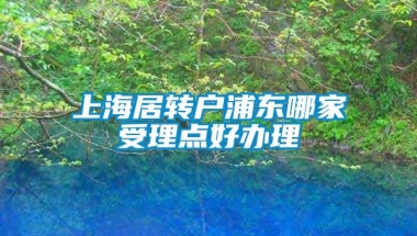 上海居转户浦东哪家受理点好办理