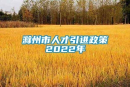 滁州市人才引进政策2022年