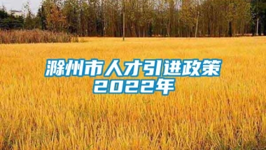 滁州市人才引进政策2022年