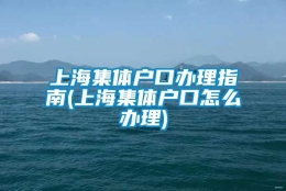 上海集体户口办理指南(上海集体户口怎么办理)