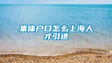 集体户口怎么上海人才引进