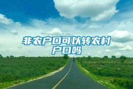 非农户口可以转农村户口吗