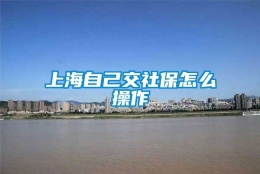 上海自己交社保怎么操作