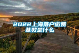 2022上海落户缴费基数是什么