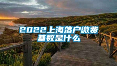 2022上海落户缴费基数是什么