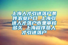 上海人才引进落户条件农业户口 上海引进人才落户市里审核多久 上海程序员人才引进落户