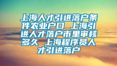 上海人才引进落户条件农业户口 上海引进人才落户市里审核多久 上海程序员人才引进落户