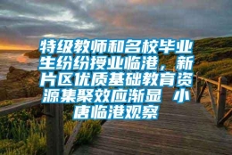 特级教师和名校毕业生纷纷授业临港，新片区优质基础教育资源集聚效应渐显 小唐临港观察