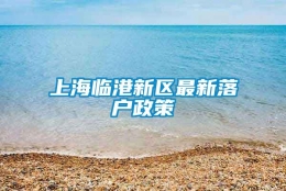 上海临港新区最新落户政策