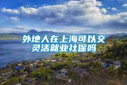 外地人在上海可以交灵活就业社保吗