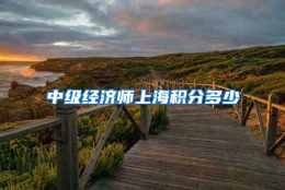 中级经济师上海积分多少