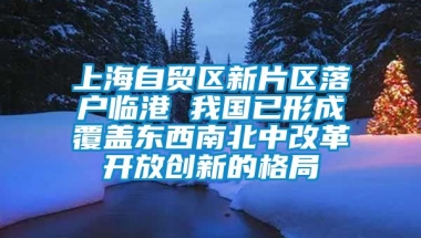 上海自贸区新片区落户临港 我国已形成覆盖东西南北中改革开放创新的格局