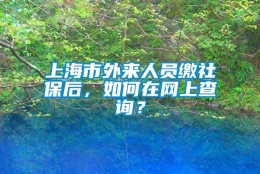 上海市外来人员缴社保后，如何在网上查询？