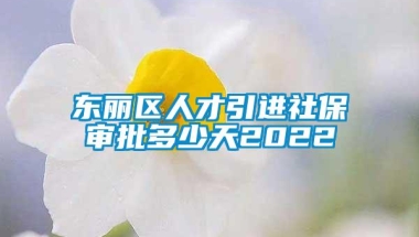 东丽区人才引进社保审批多少天2022