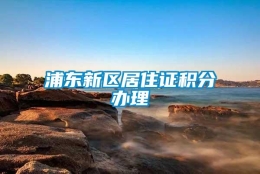 浦东新区居住证积分办理