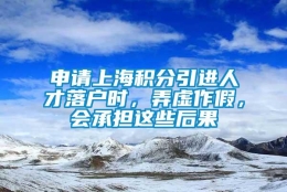 申请上海积分引进人才落户时，弄虚作假，会承担这些后果