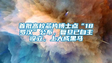 首批高校芯片博士点“18罗汉”公布，复旦已自主设立，上大成黑马