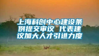 上海科创中心建设条例提交审议 代表建议加大人才引进力度