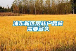 浦东新区居转户复核需要多久