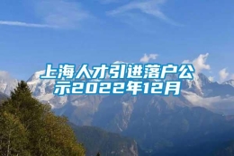 上海人才引进落户公示2022年12月