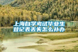 上海自学考试毕业生登记表丢失怎么补办