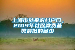 上海市外来农村户口，2019年社保缴费基数最低的多少