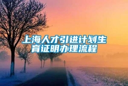 上海人才引进计划生育证明办理流程