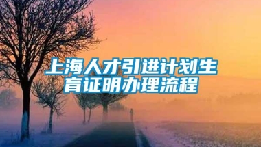 上海人才引进计划生育证明办理流程