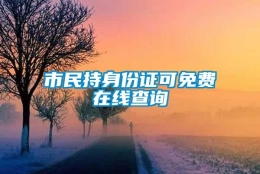 市民持身份证可免费在线查询