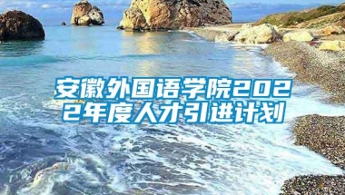 安徽外国语学院2022年度人才引进计划