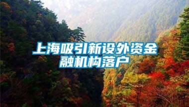 上海吸引新设外资金融机构落户