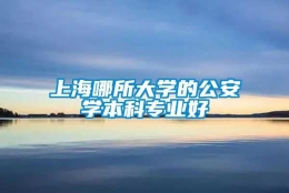 上海哪所大学的公安学本科专业好