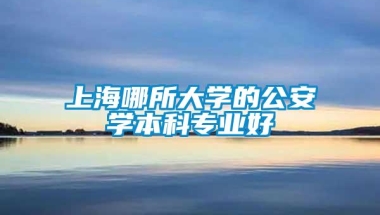 上海哪所大学的公安学本科专业好