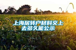 上海居转户材料交上去多久能公示