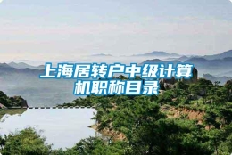 上海居转户中级计算机职称目录